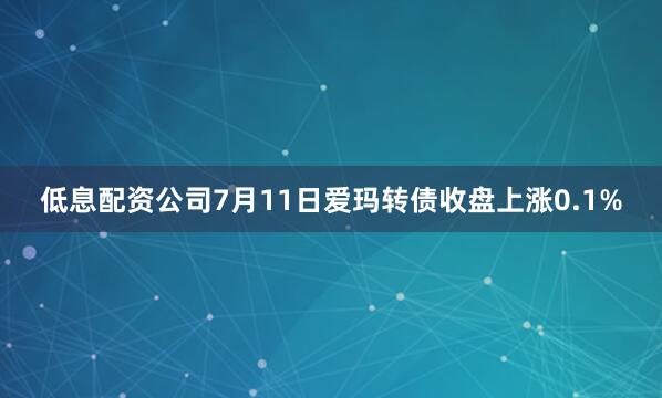 低息配资公司7月11日爱玛转债收盘上涨0.1%