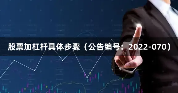 股票加杠杆具体步骤（公告编号：2022-070）